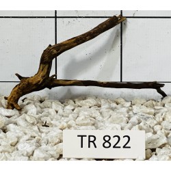 Spiderwood 822