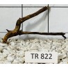 Spiderwood 822
