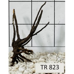 Spiderwood 823