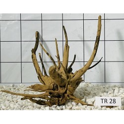 Spiderwood 28