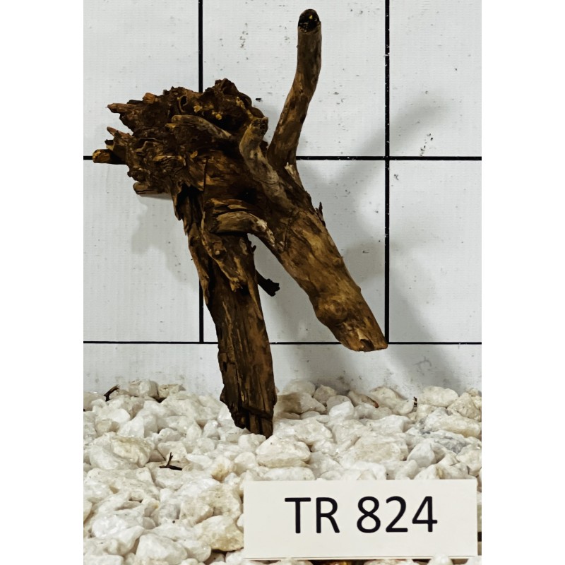 Spiderwood 824