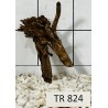 Spiderwood 824