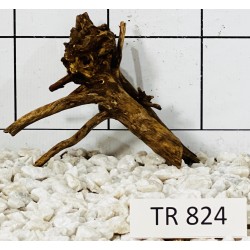 Spiderwood 824