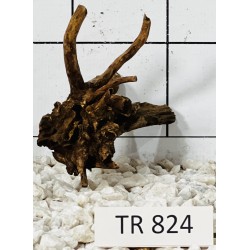Spiderwood 824