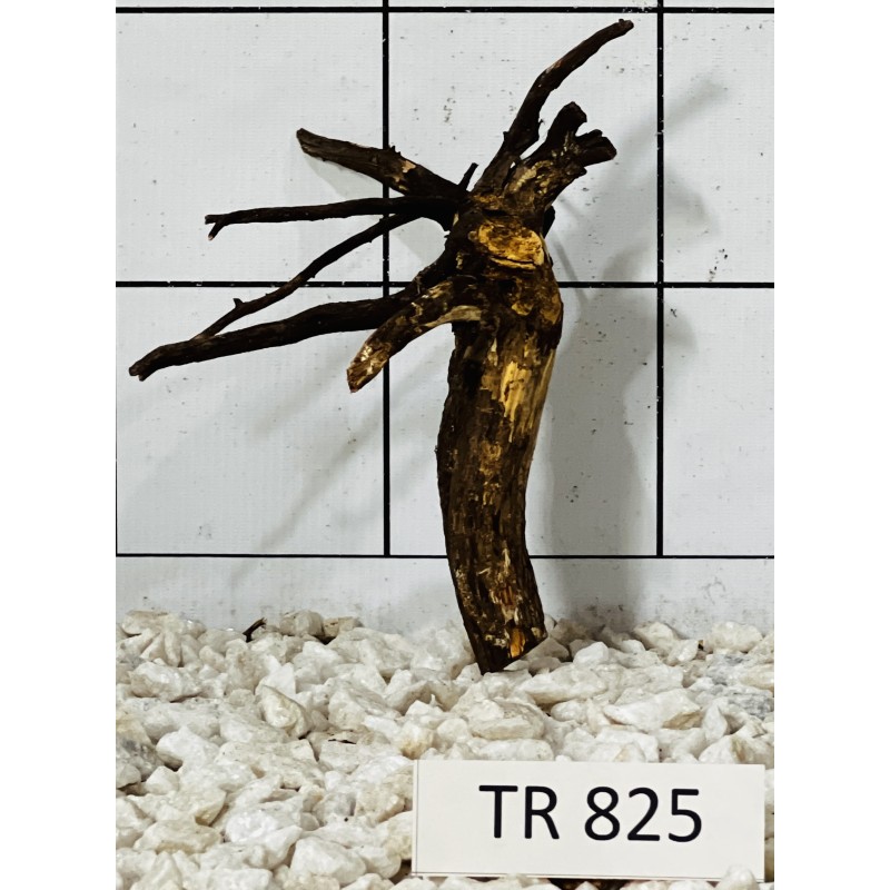 Spiderwood 825