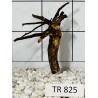 Spiderwood 825