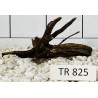 Spiderwood 825