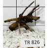 Spiderwood 826