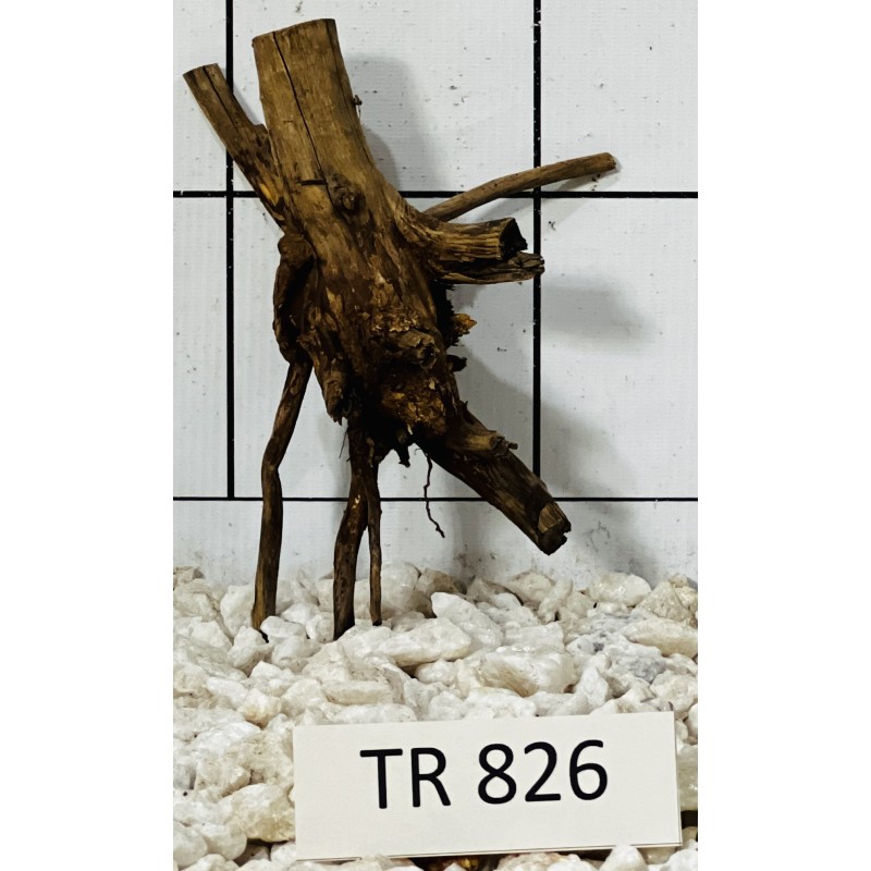 Spiderwood 826