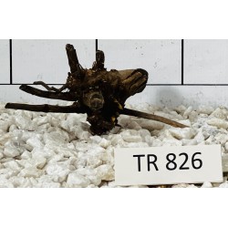 Spiderwood 826