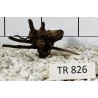Spiderwood 826