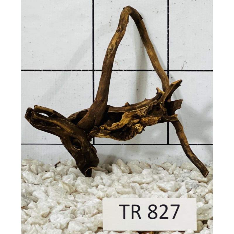 Spiderwood 827