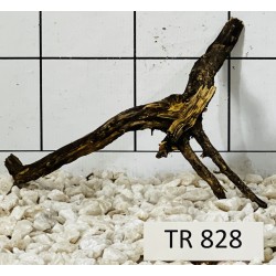 Spiderwood 828