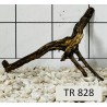 Spiderwood 828