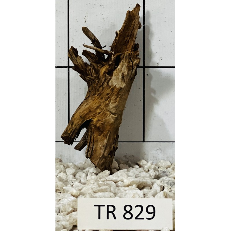 Spiderwood 829