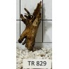 Spiderwood 829