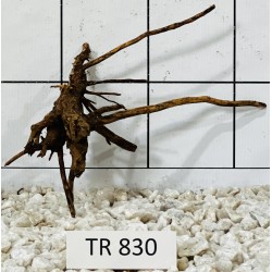 Spiderwood 830