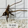 Spiderwood 830