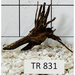 Spiderwood 831