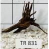 Spiderwood 831