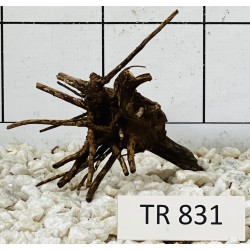 Spiderwood 831