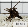Spiderwood 831