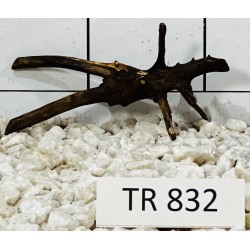 Spiderwood 832