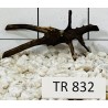 Spiderwood 832