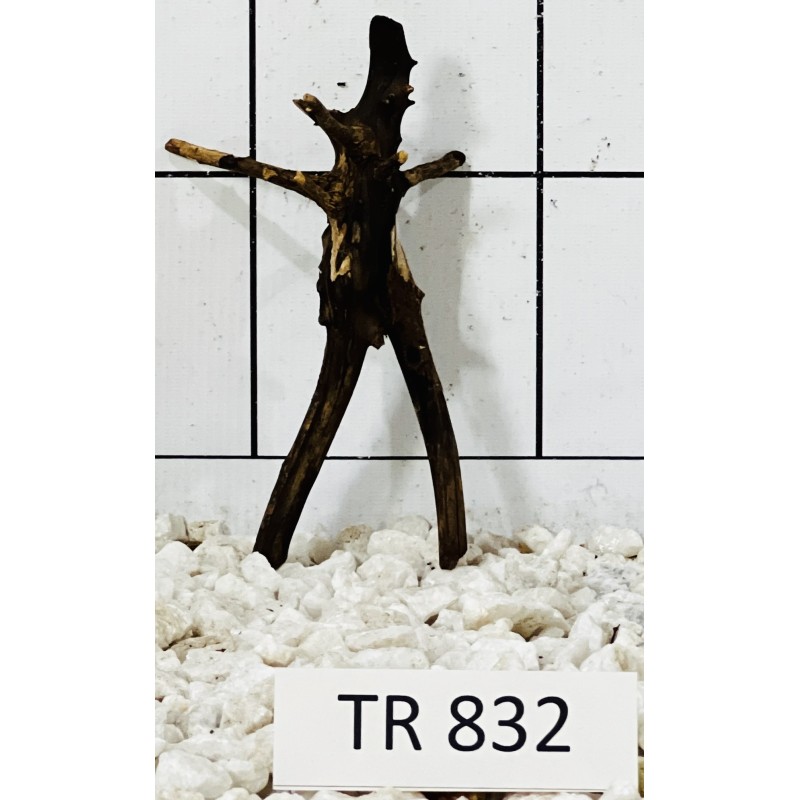 Spiderwood 832
