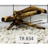 Spiderwood 834