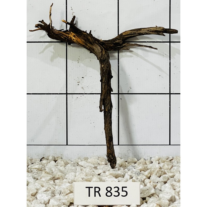 Spiderwood 835