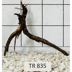 Spiderwood 835