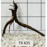 Spiderwood 835