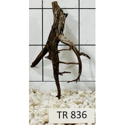 Spiderwood 836