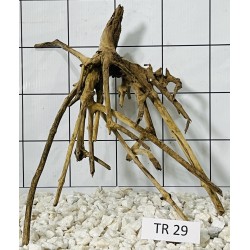 Spiderwood 29