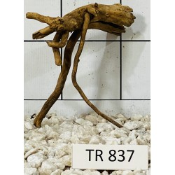 Spiderwood 837