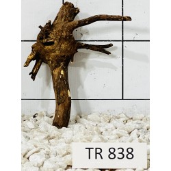 Spiderwood 838