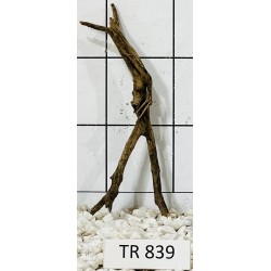Spiderwood 839