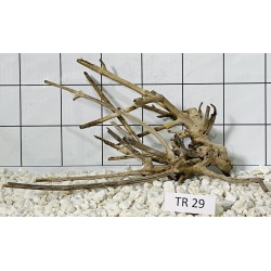 Spiderwood 29