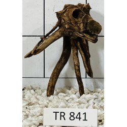 Spiderwood 841