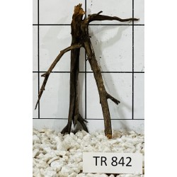 Spiderwood 842