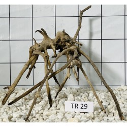 Spiderwood 29