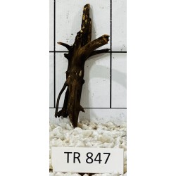 Spiderwood 847