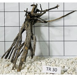 Spiderwood 30