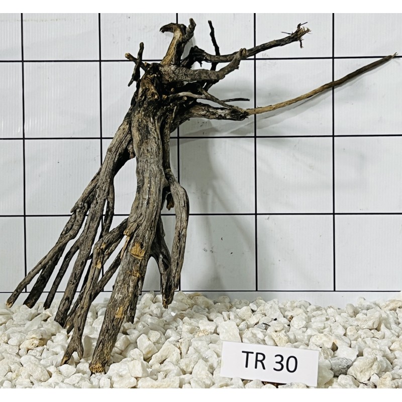 Spiderwood 30