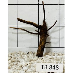 Spiderwood 848