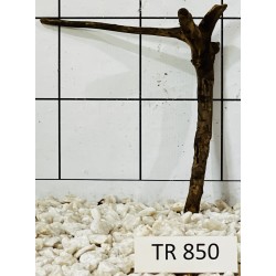Spiderwood 850