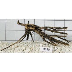 Spiderwood 30