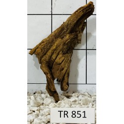 Spiderwood 851