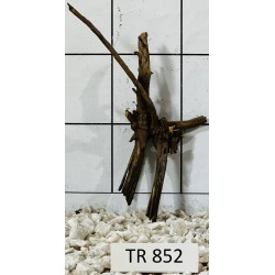 Spiderwood 852